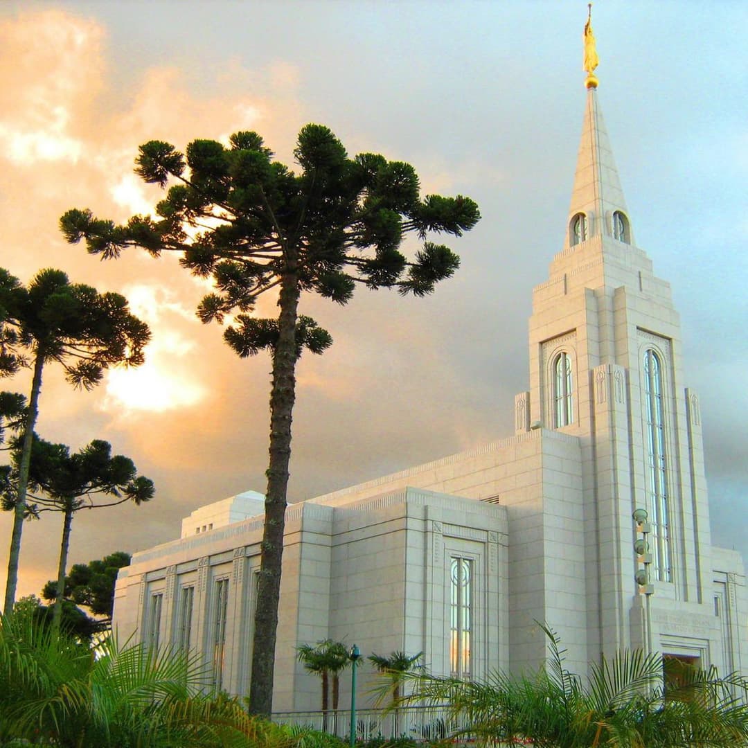 Curitiba Brazil Temple and Araucaria trees at sunset.