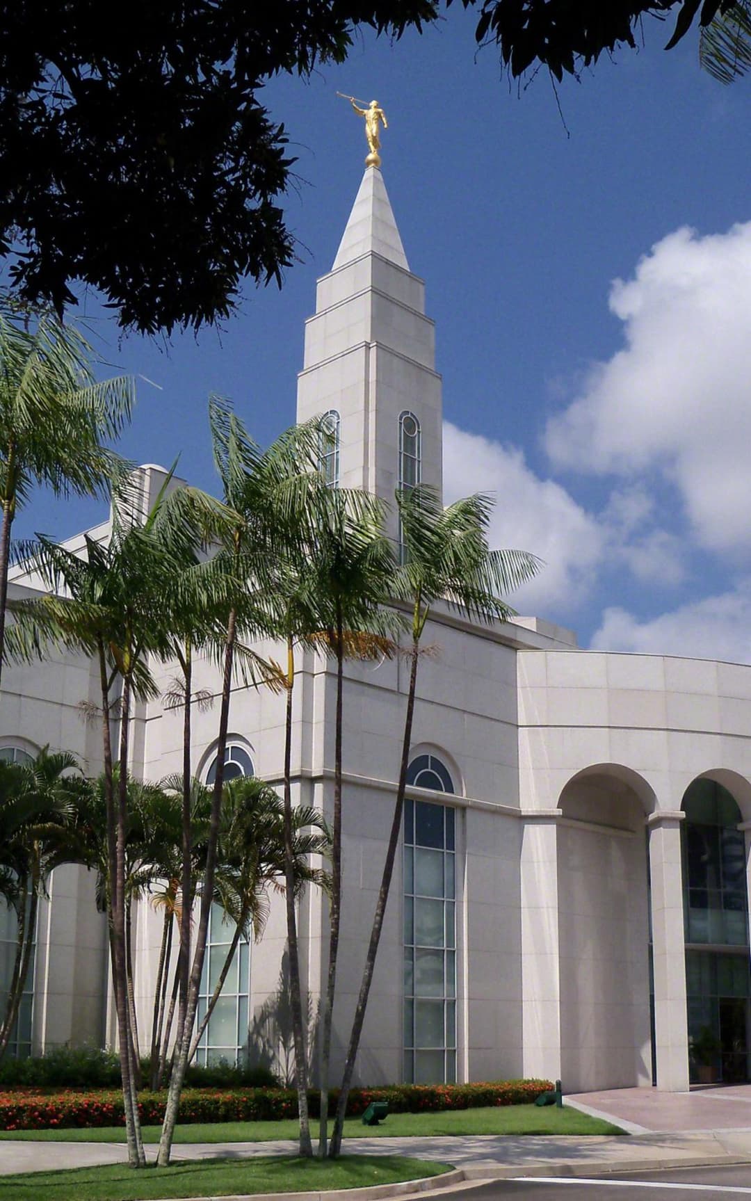 Low-angle daytime view of the Recife Brazil Temple spire and palm trees.
