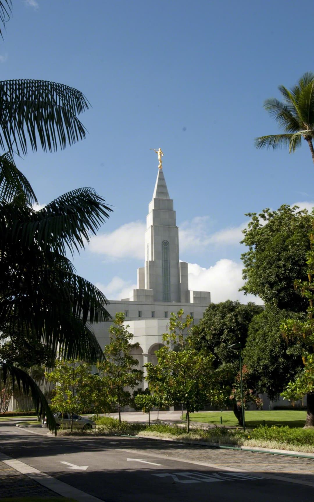 Daytime view of the Recife Brazil Temple spire framed by palm trees.