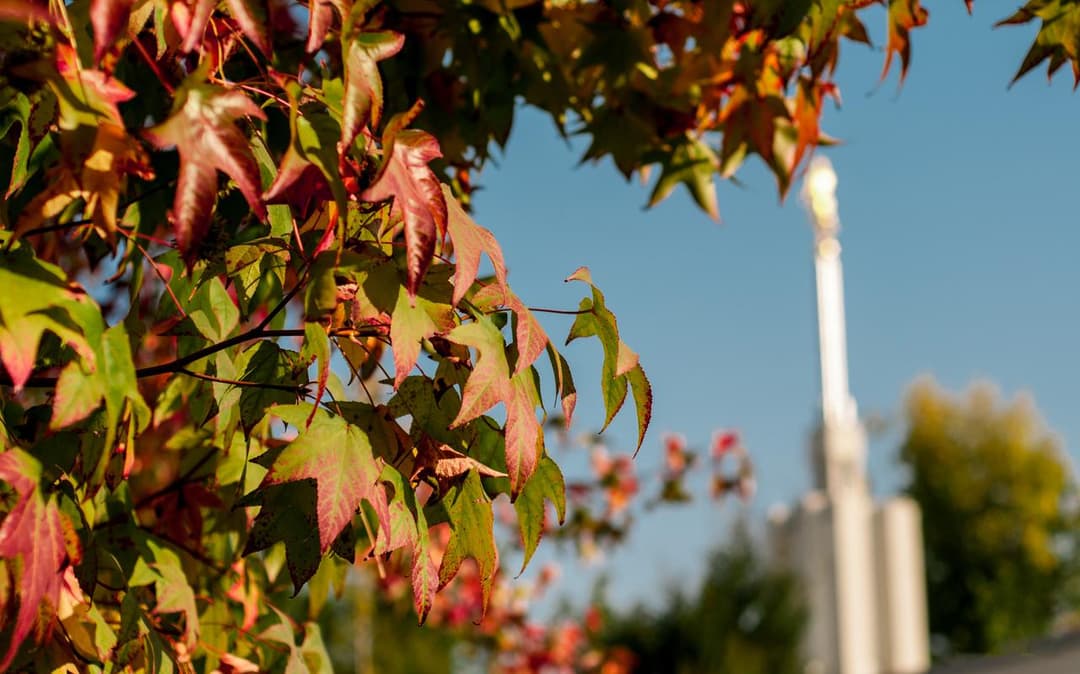 Santiago Chile Temple spire, seen through colorful fall foliage.