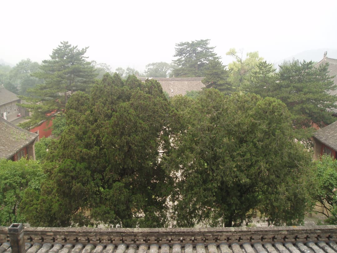 Elevated view overlooking the temple courtyard from the upper terrace