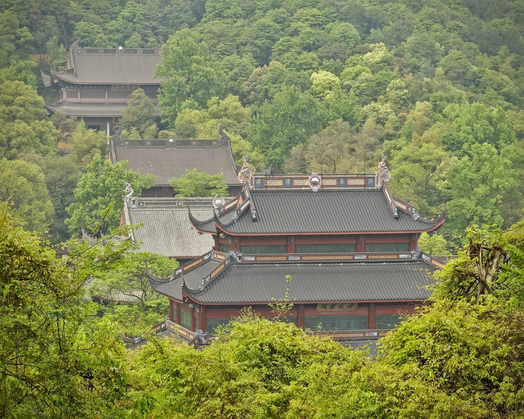 Elevated view of temple halls ascending the forested hillside