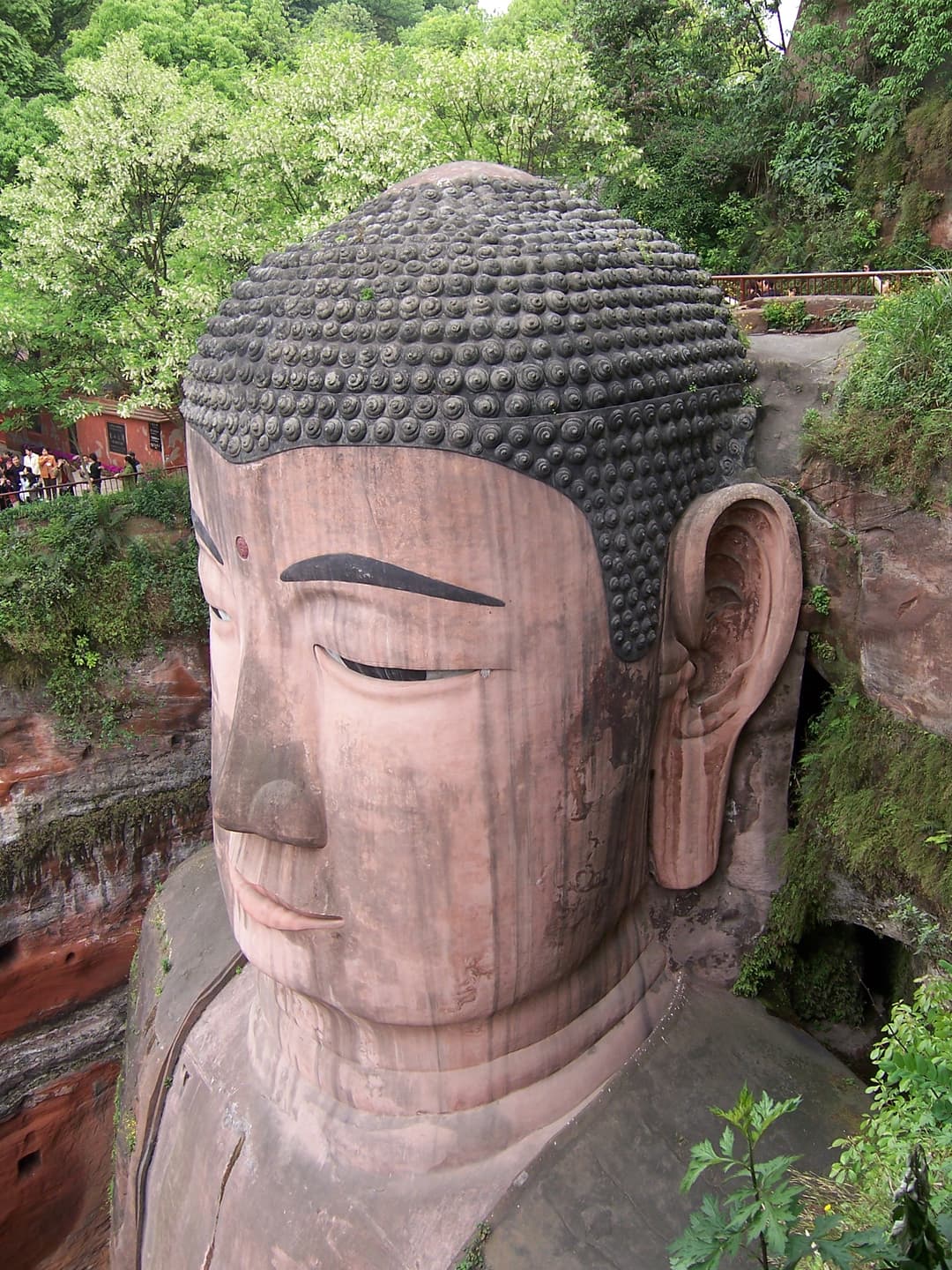 High-angle, three-quarter view of the Leshan Giant Buddha's head.