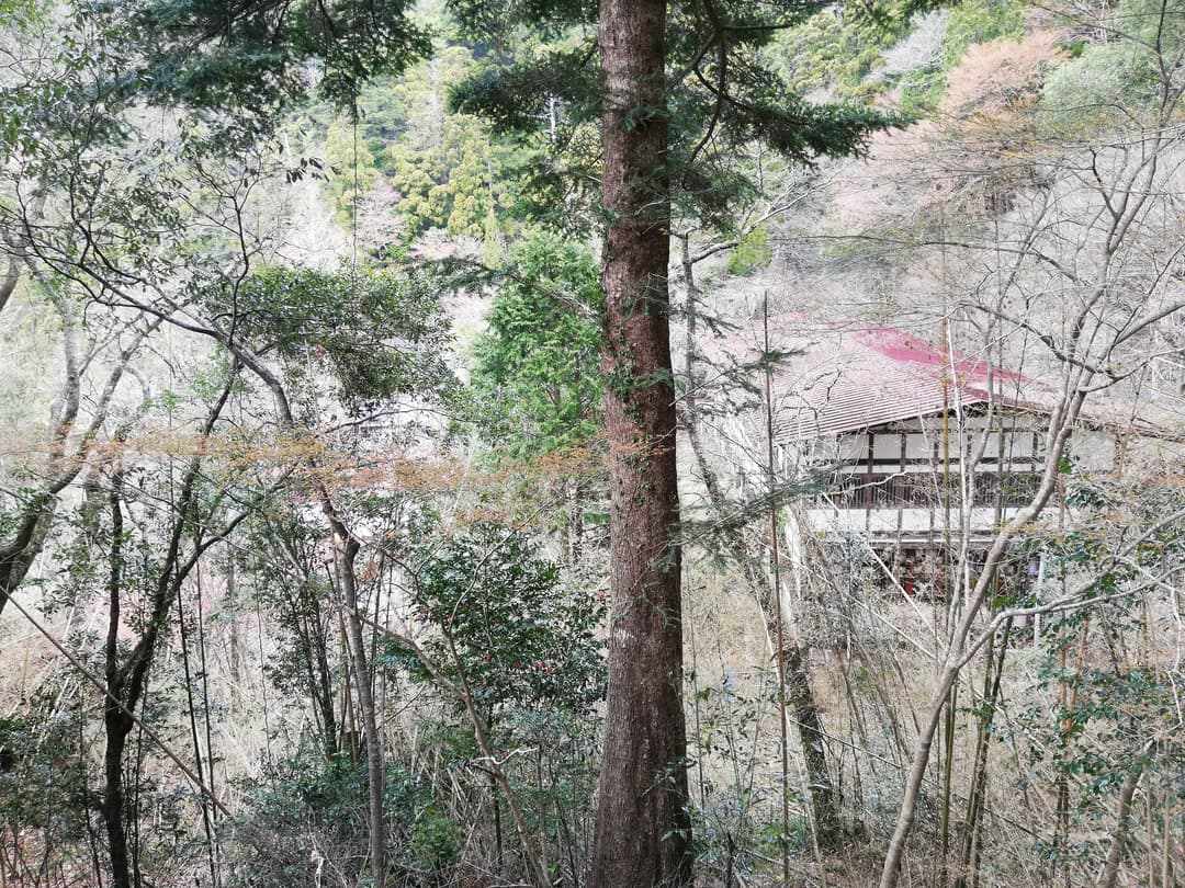 Traditional building nestled among trees on a wooded hillside.