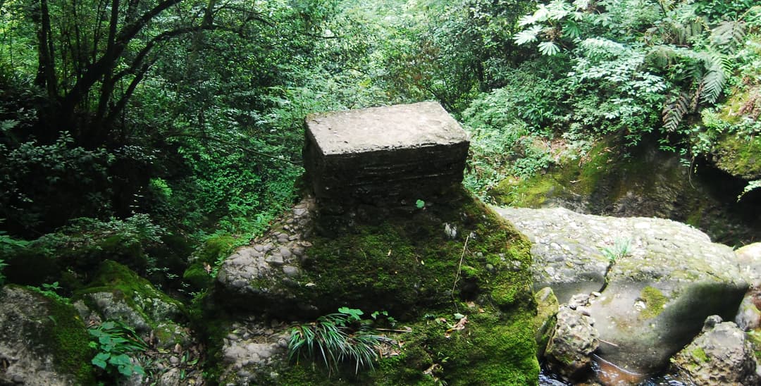 Mount Qingcheng's lush greenery and serene atmosphere.