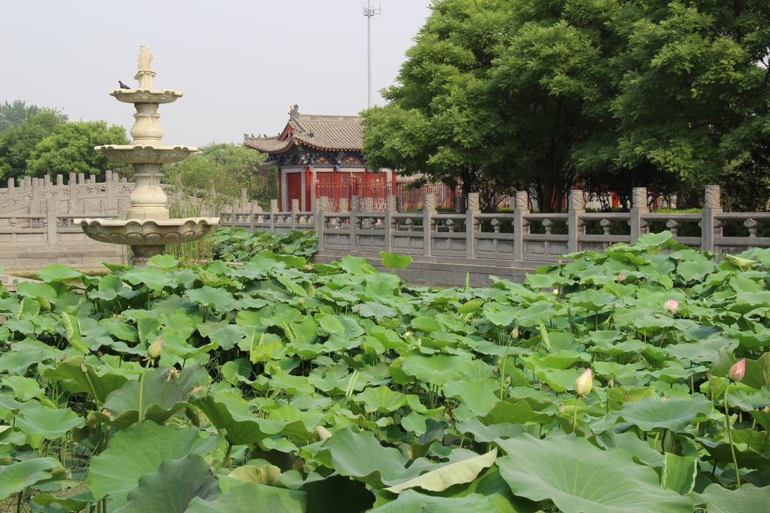 Lotus pond with stone fountain and traditional pavilion on temple grounds