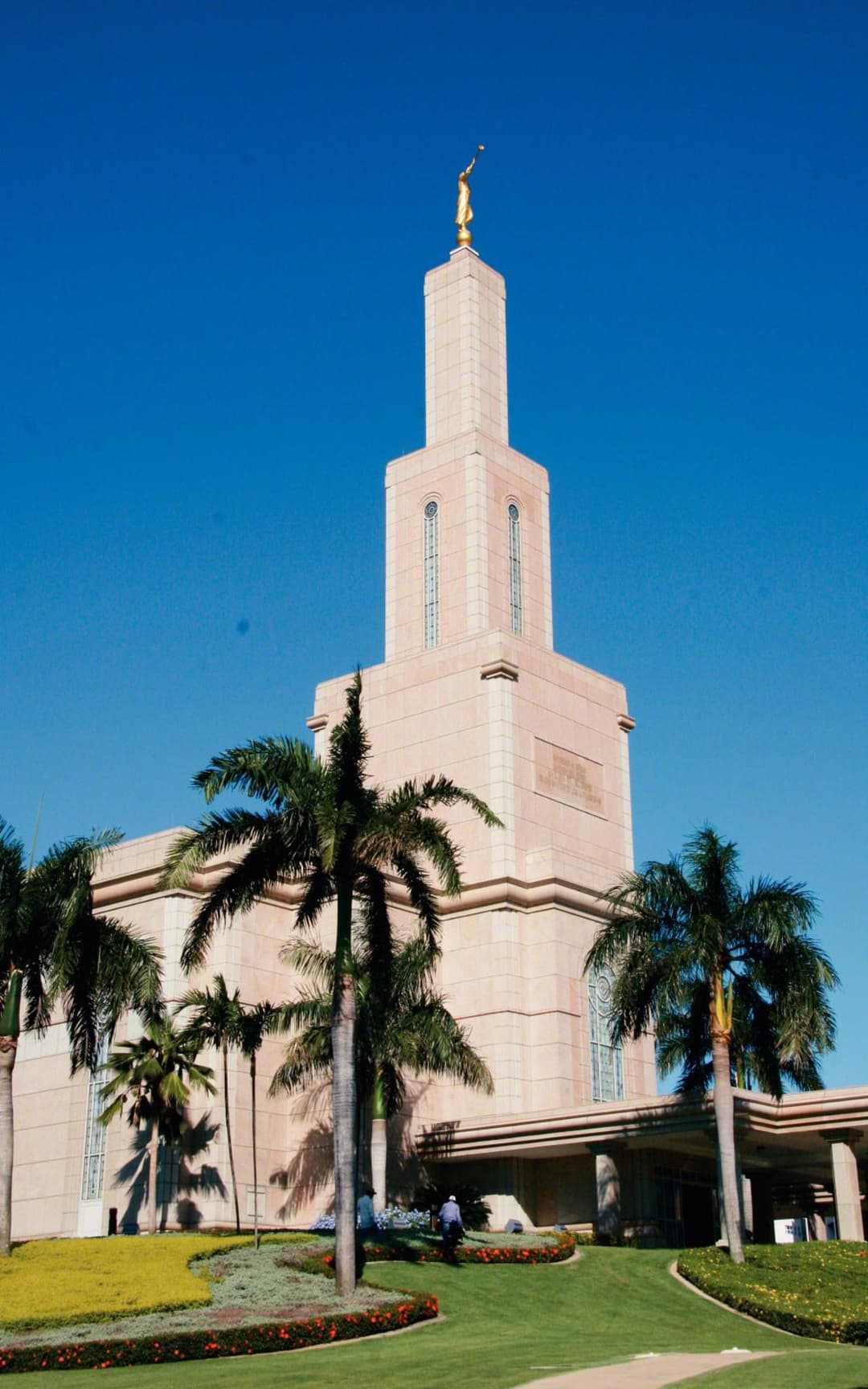 Low-angle view of the temple spire framed by palm trees in daylight.
