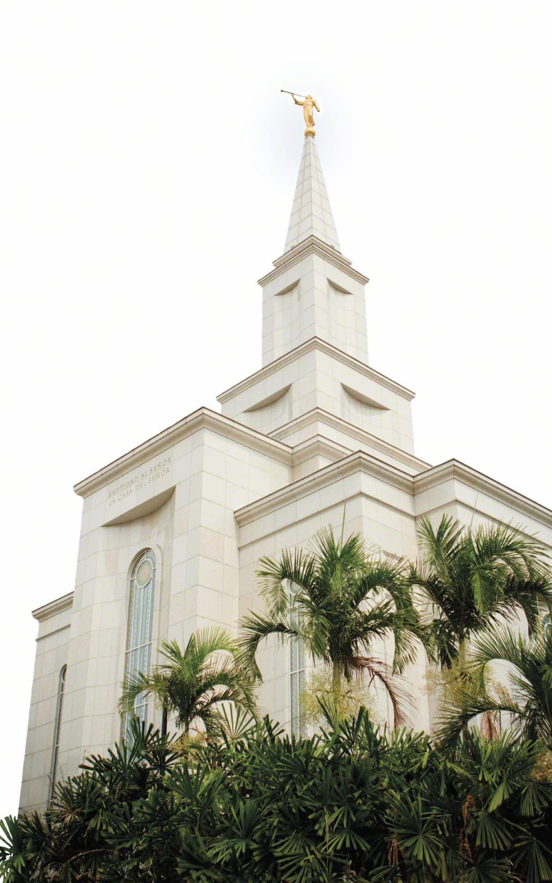 Low-angle view of Guayaquil Ecuador Temple with Angel Moroni and palms.