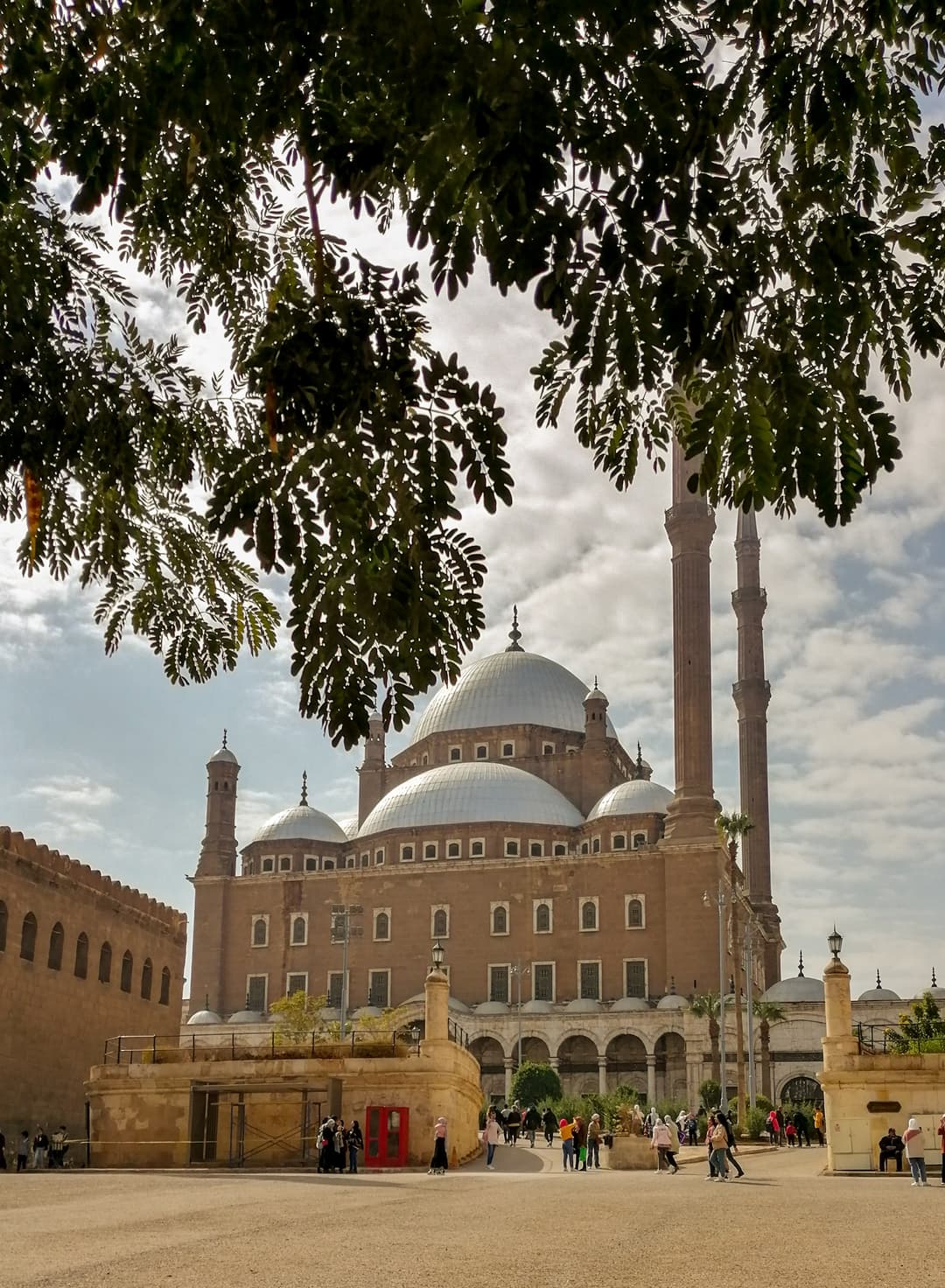 Exterior de la Mezquita de Muhammad Ali, enmarcado por follaje. Cúpulas y minaretes visibles.