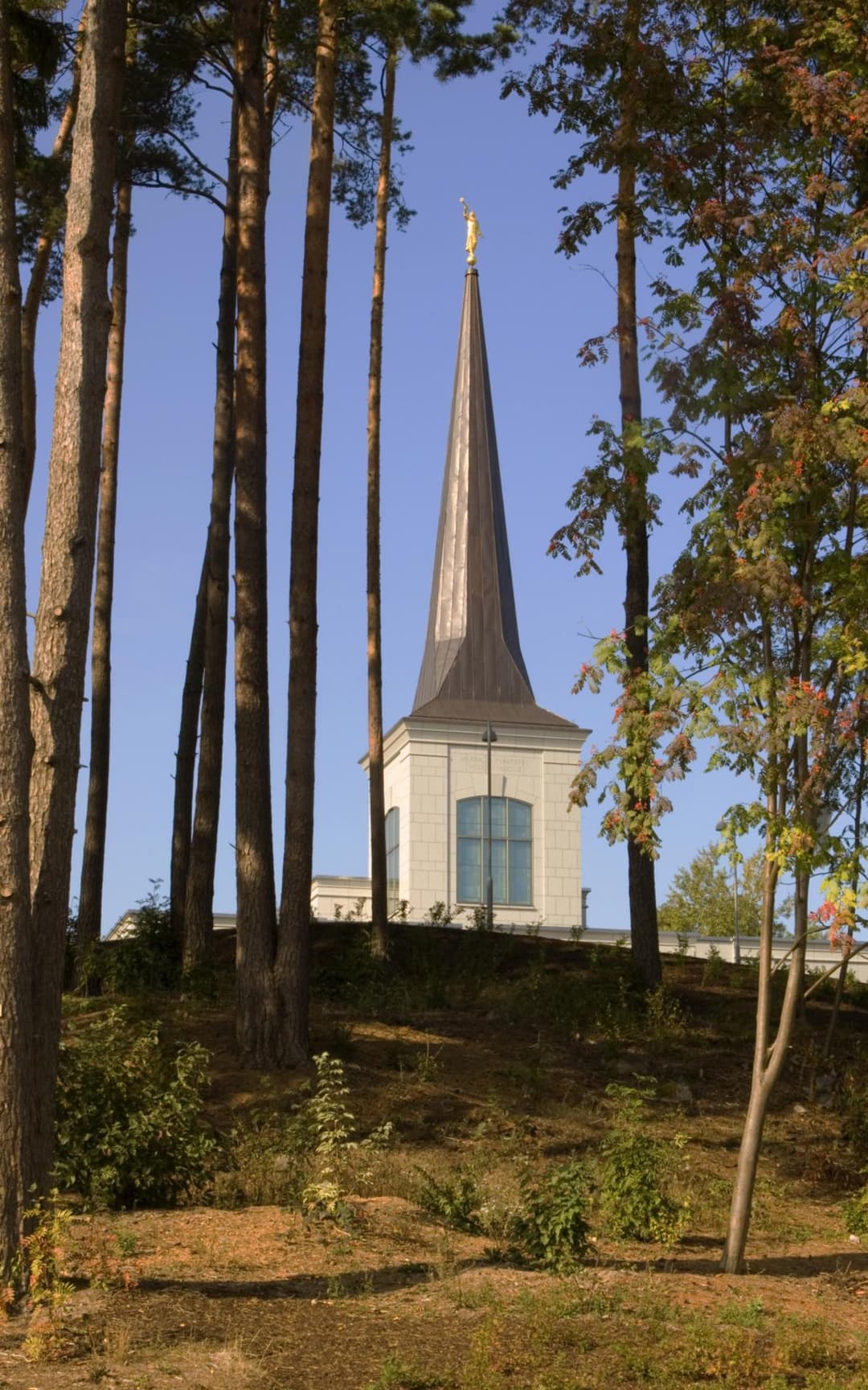 Helsinki Finland Temple spire with Angel Moroni, framed by trees.