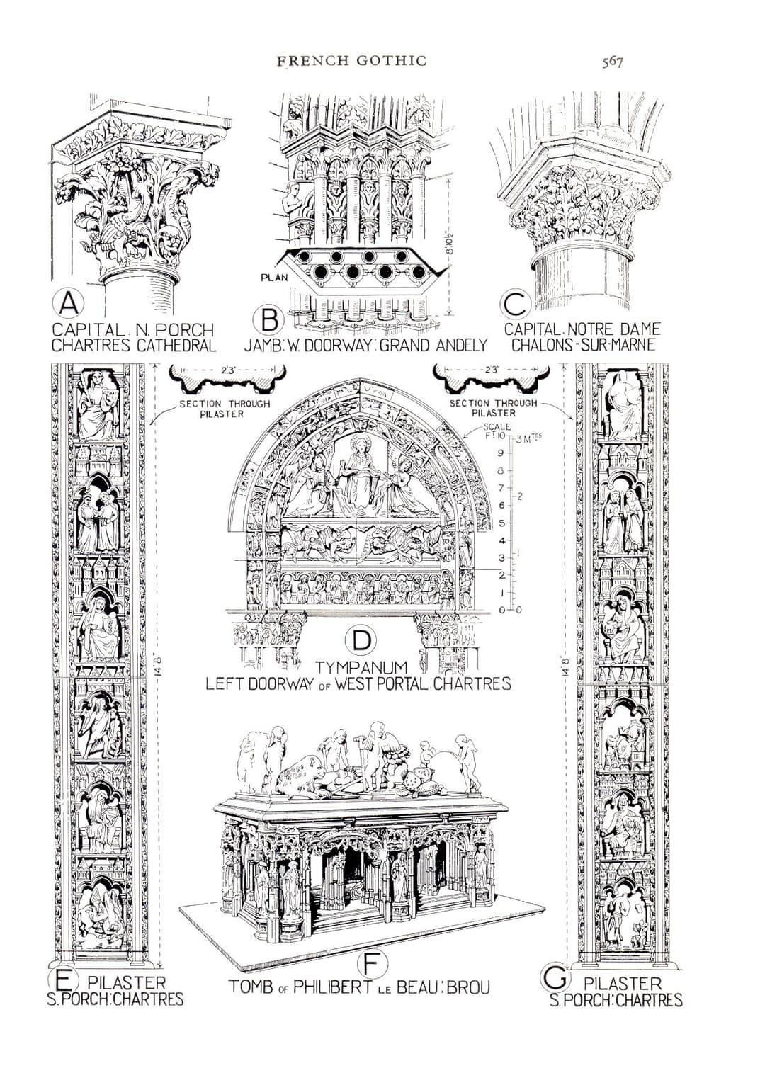 Architectural drawings of French Gothic details from Chartres Cathedral