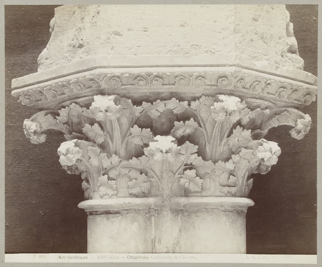 13th-century carved foliage capital, Chartres Cathedral