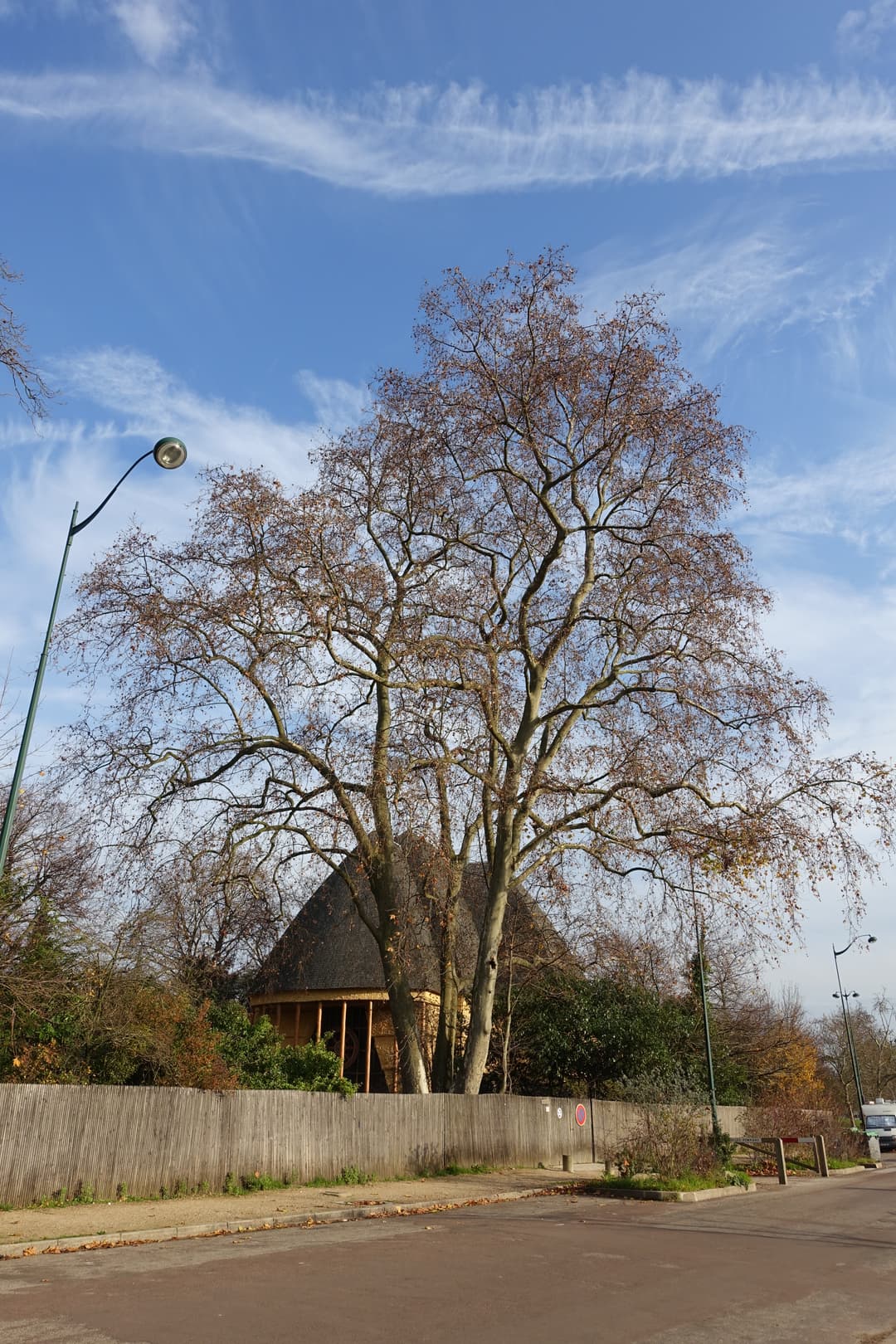 Exterior view of the Grande Pagode behind a large tree and perimeter fence