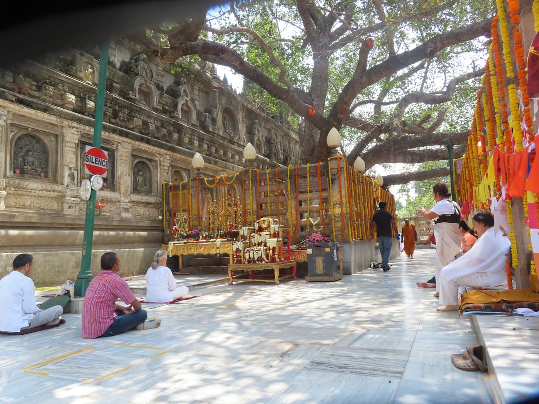 Mahabodhi Temple grounds with Bodhi tree, worshipers, and ornate wall.