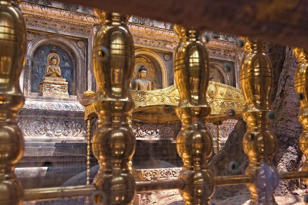 Monks meditating at the Mahabodhi Temple