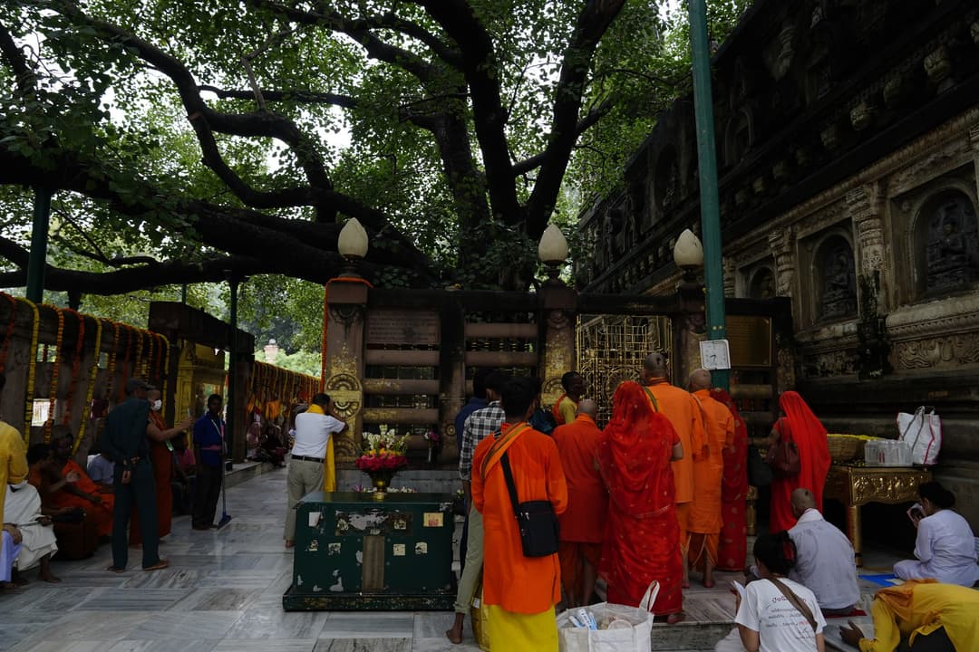 Die goldene Turmspitze des Mahabodhi-Tempels