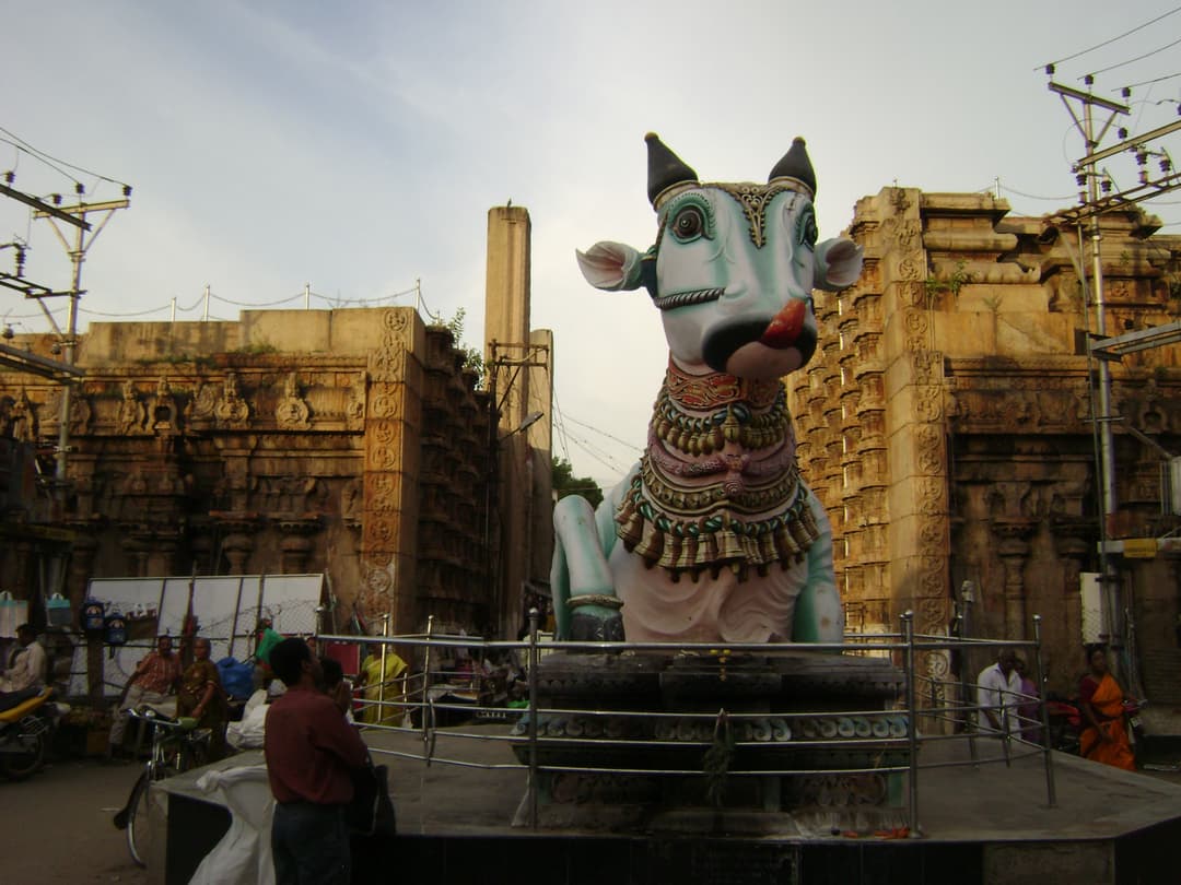 A closer view of the intricate sculptures on a gopuram.