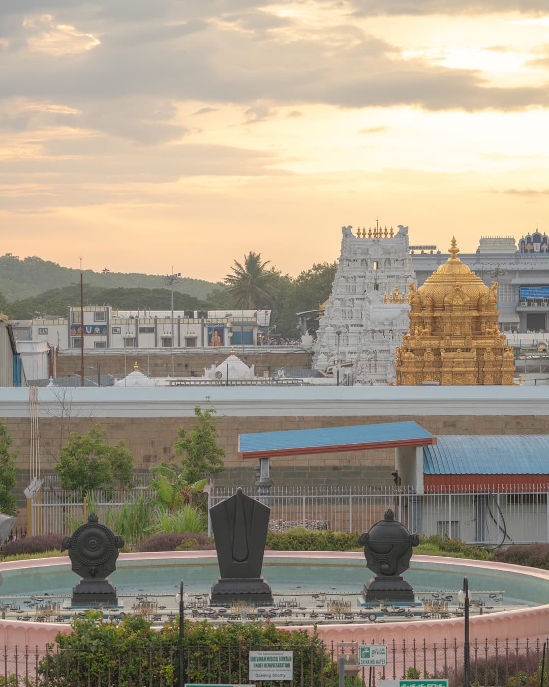 The serene environment of the Seshachalam Hills.