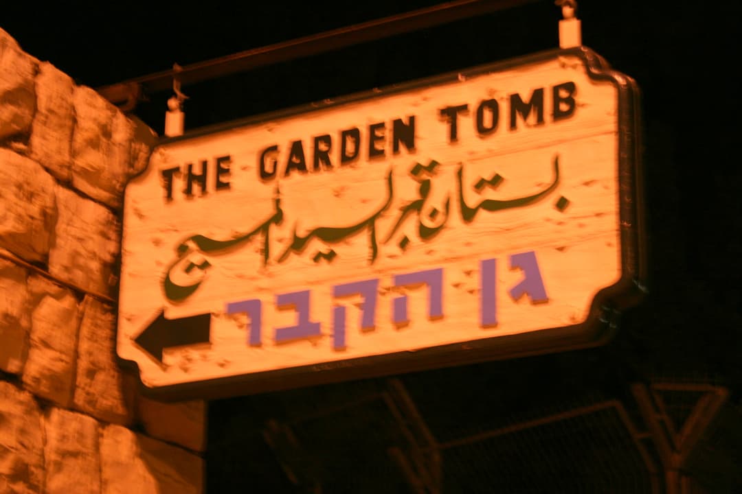 Another view of the garden