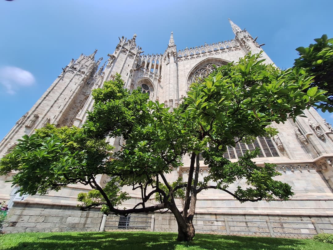Low-angle view of the Milan Cathedral exterior framed by a green tree.