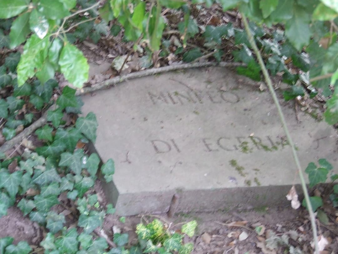 Interior of the Nymphaeum, showing the apse.