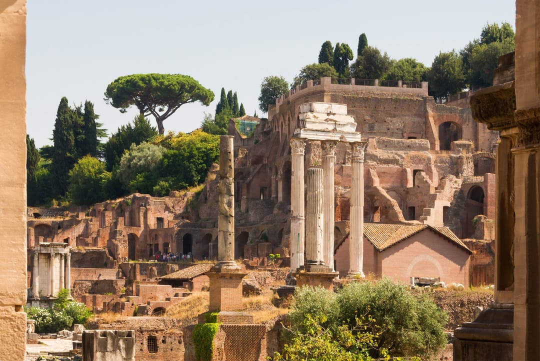 Exterior view of the Roman Forum ruins and Palatine Hill in bright daylight.