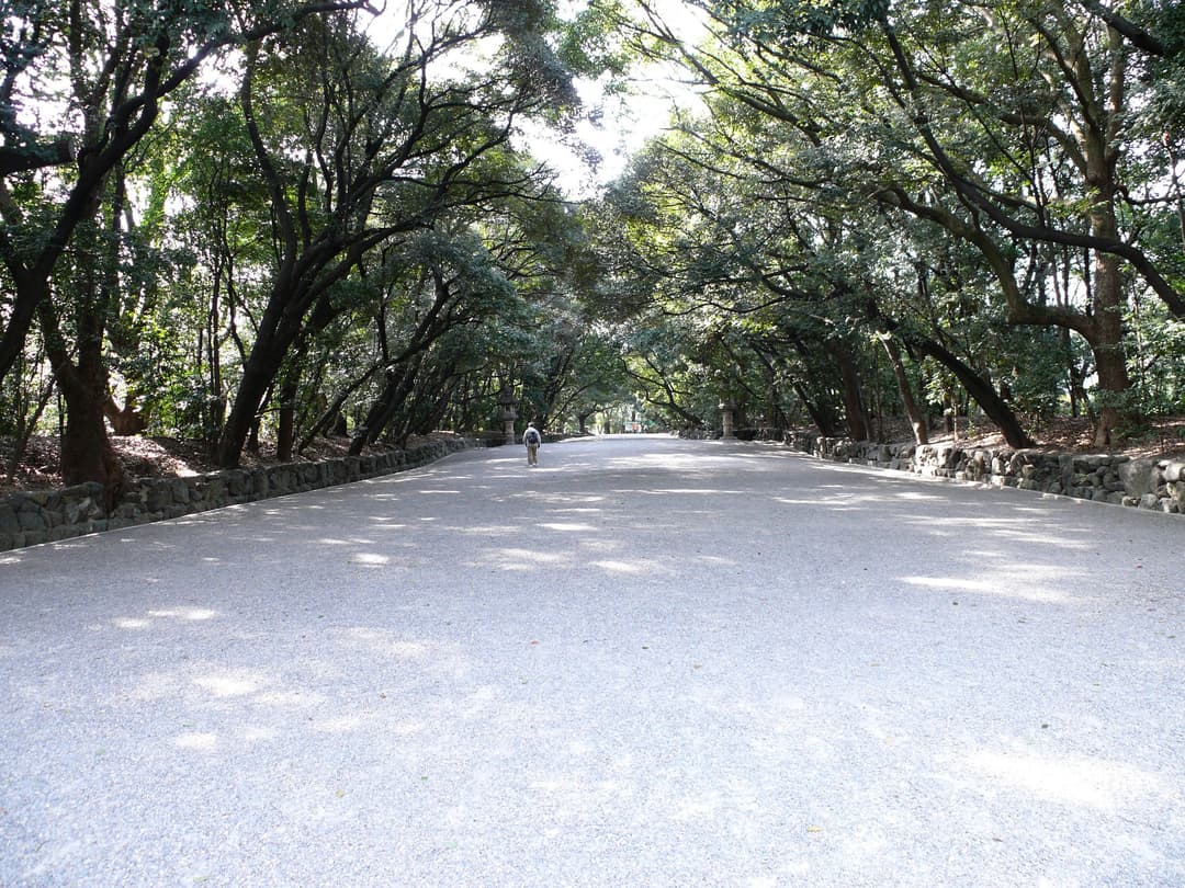 The serene path leading to the main hall, surrounded by lush greenery.
