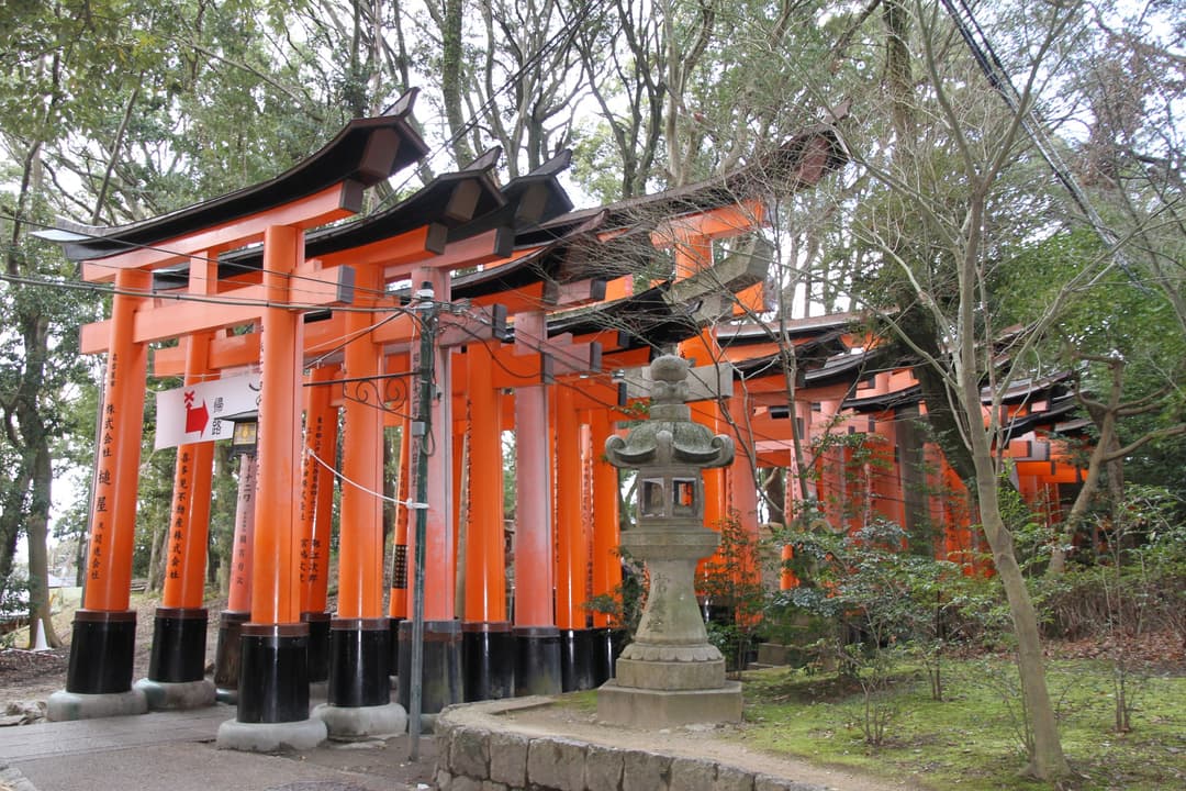 Angled daytime grounds view of vermilion torii gates and a stone lantern.