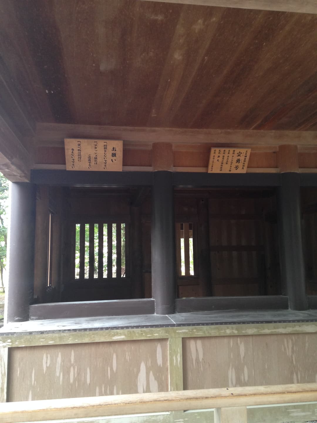 Wooden sacred horse stable (Shinmesha) at Ise Grand Shrine.