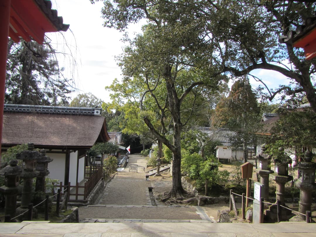 View down the stone pathway lined with lanterns on the shrine grounds