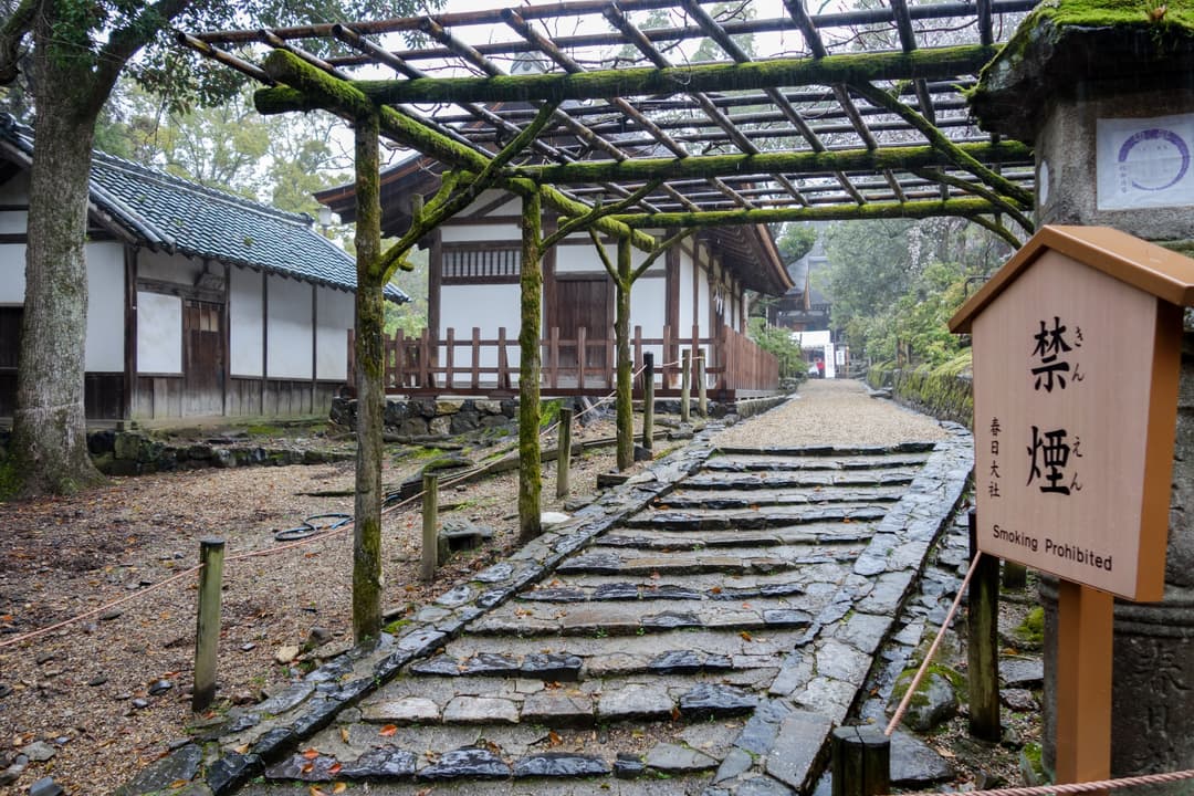 Wet stone steps beneath a mossy wooden trellis at Kasuga Grand Shrine