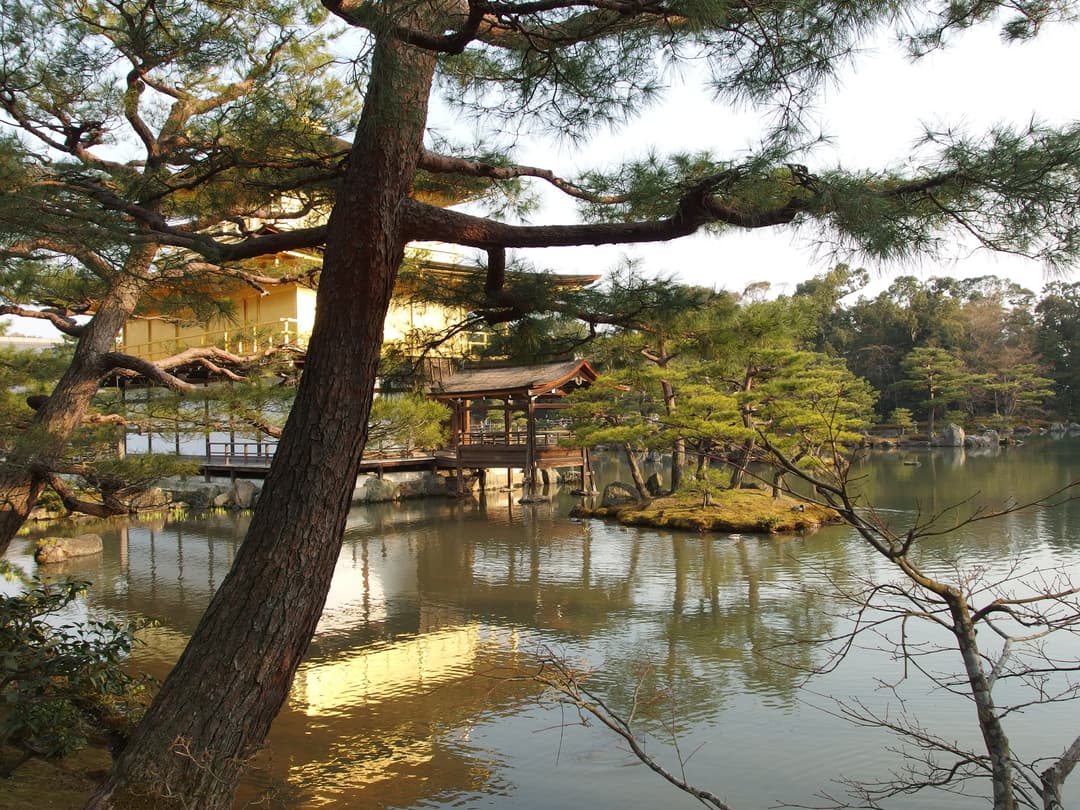 金色外墙的特写。