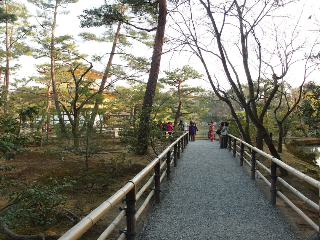 寺庙被茂盛的绿色植物环绕。