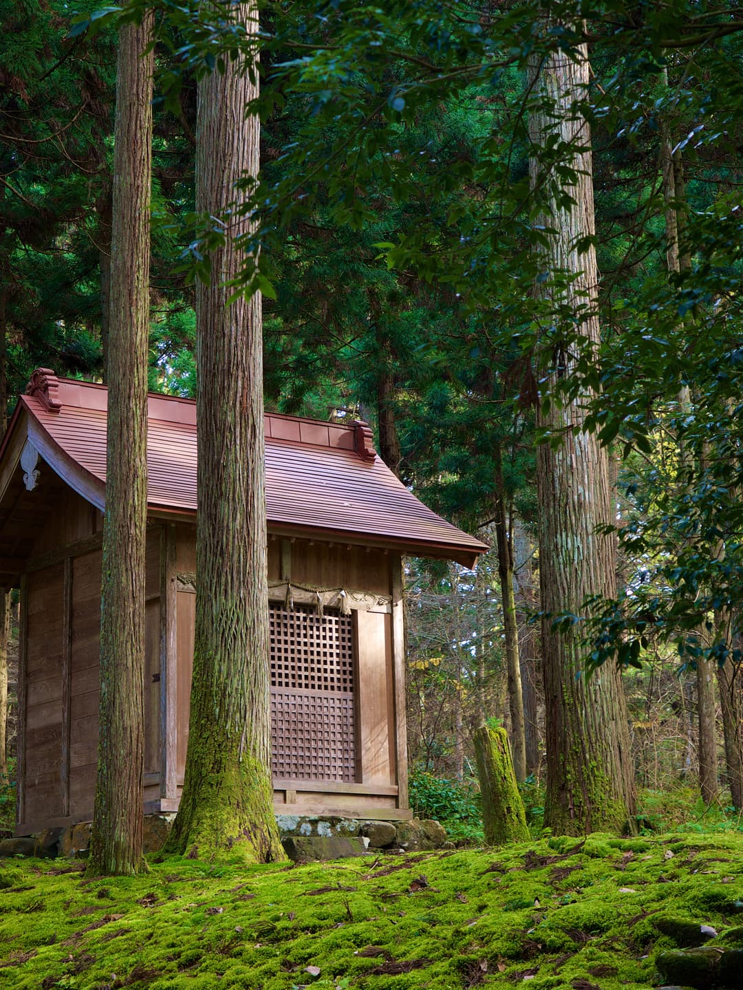 The iconic five-story pagoda on Mount Haguro.
