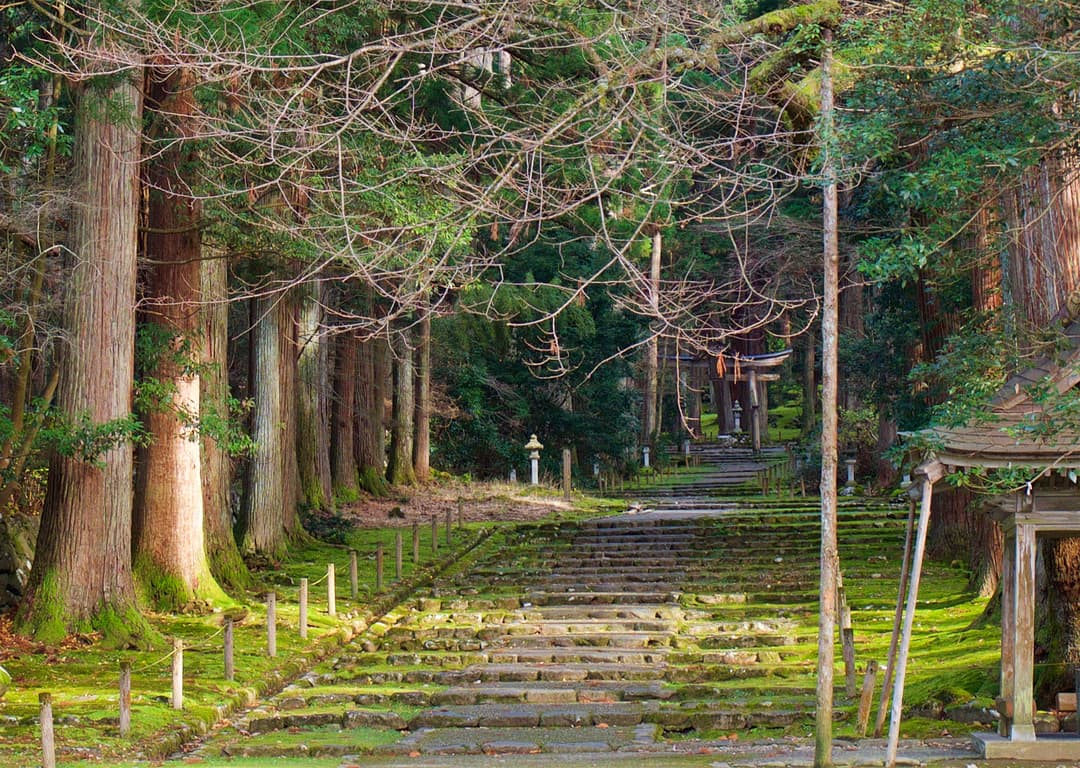 Lush greenery surrounding the path to Dewa Shrine.