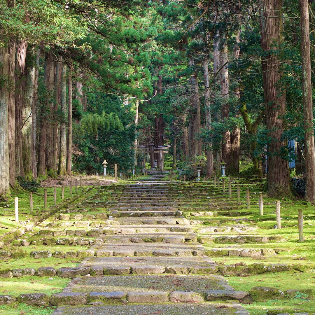 Pilgrims walking along the sacred path.