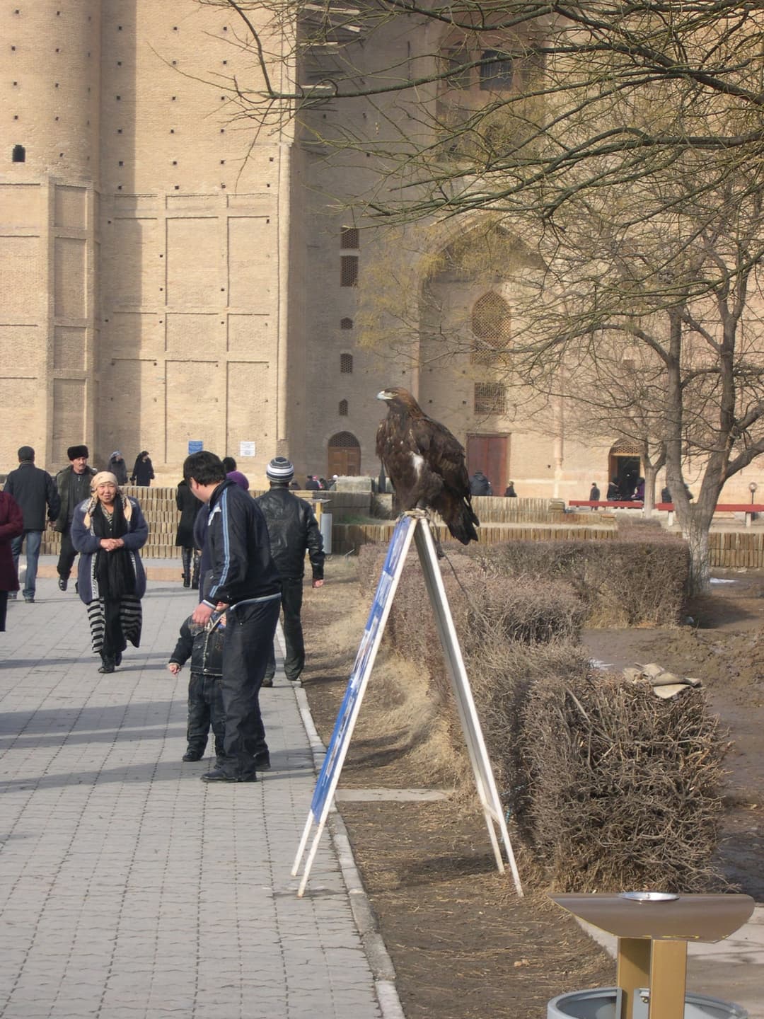 A golden eagle perched on a sign on the mausoleum grounds