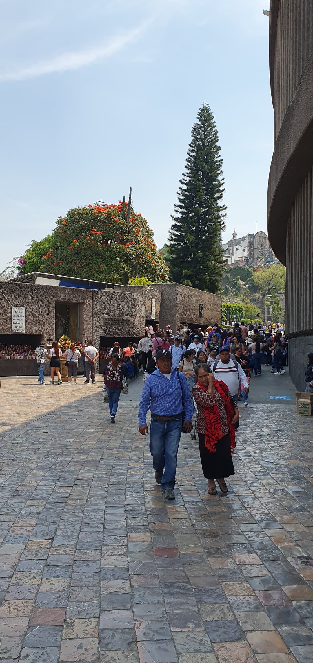 Visitors walking along the paved plaza within the Basilica complex grounds.