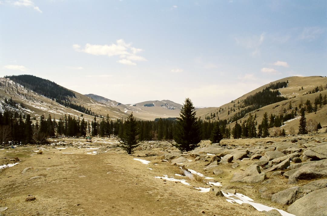 Wide view of the rocky valley and forested slopes of Bogd Khan Mountain.