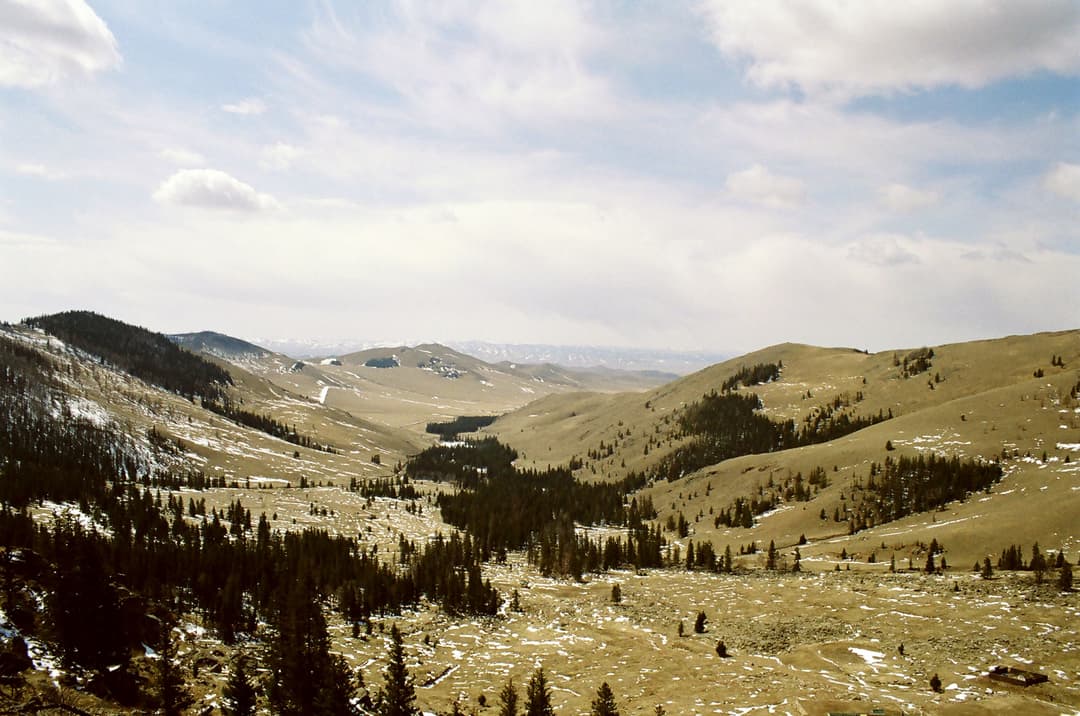 Wide-angle view of the forested mountain valley at Bogd Khan Uul