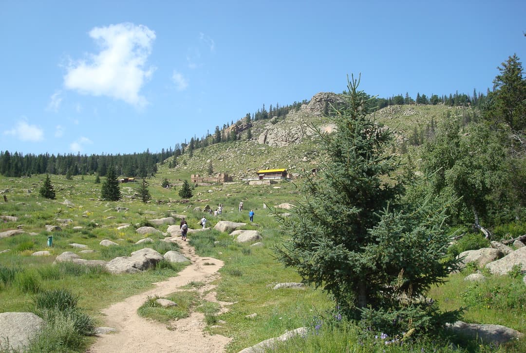 Trail leading to Manzushir Monastery ruins on Bogd Khan Mountain.