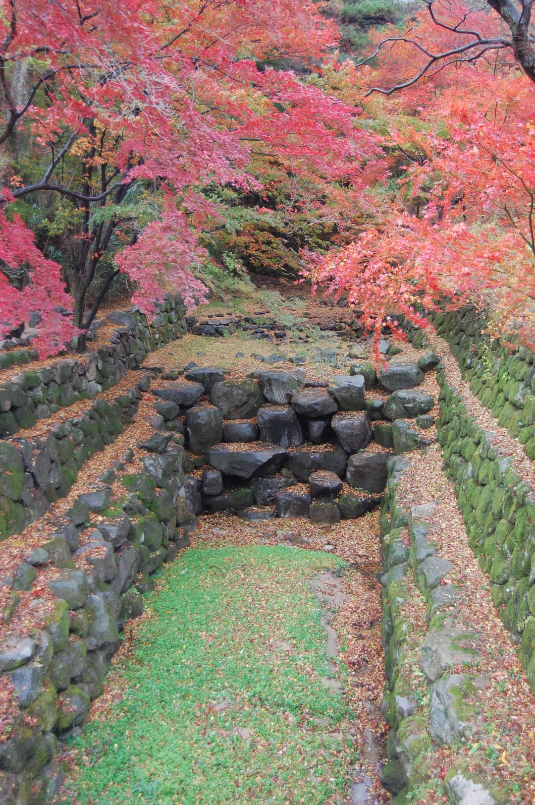 High-angle view of a stone channel and autumn maples on the temple grounds.