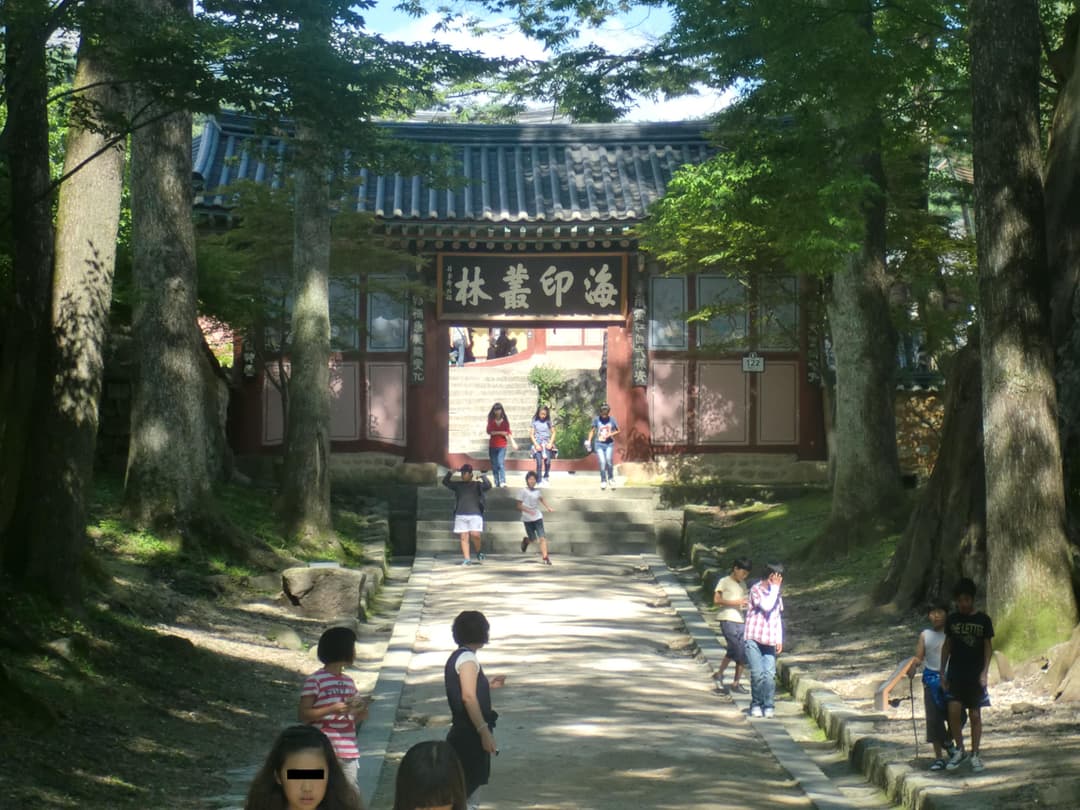 Tree-lined pathway leading to the Bonghwangmun gate at Haeinsa