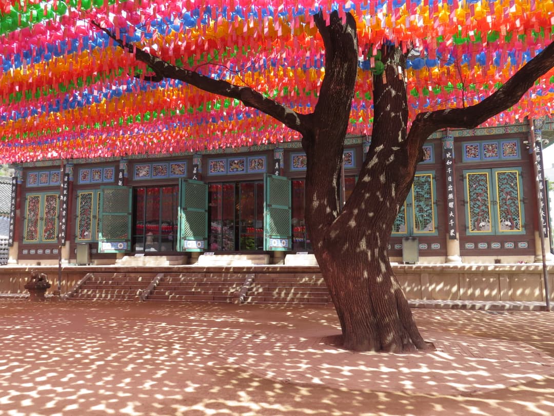 Colorful lantern canopy and tree in the Jogyesa Temple courtyard.