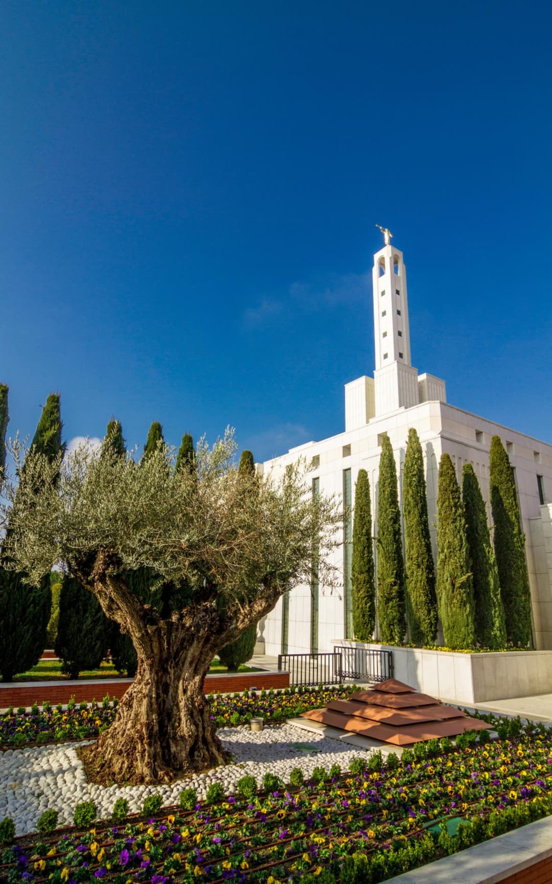 A peaceful reflection pool enhances the temple grounds.