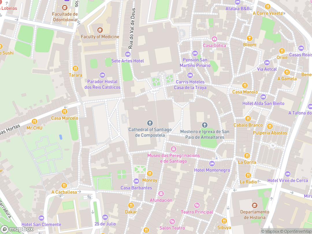 Map showing Santiago de Compostela Cathedral and surrounding area