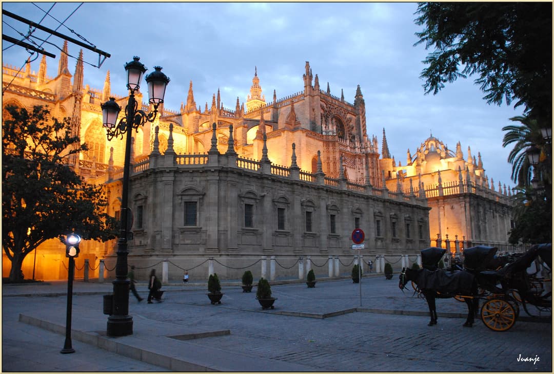 Seville Cathedral illuminated at twilight with horse carriages