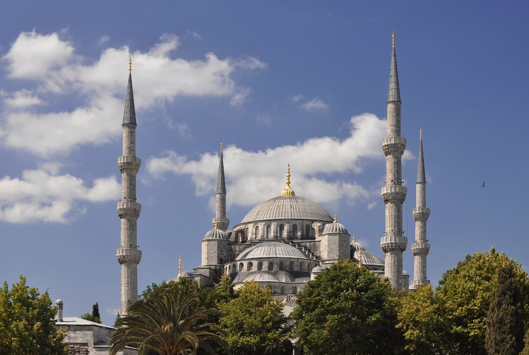 Domes and minarets of the Sultan Ahmed Mosque rising above trees