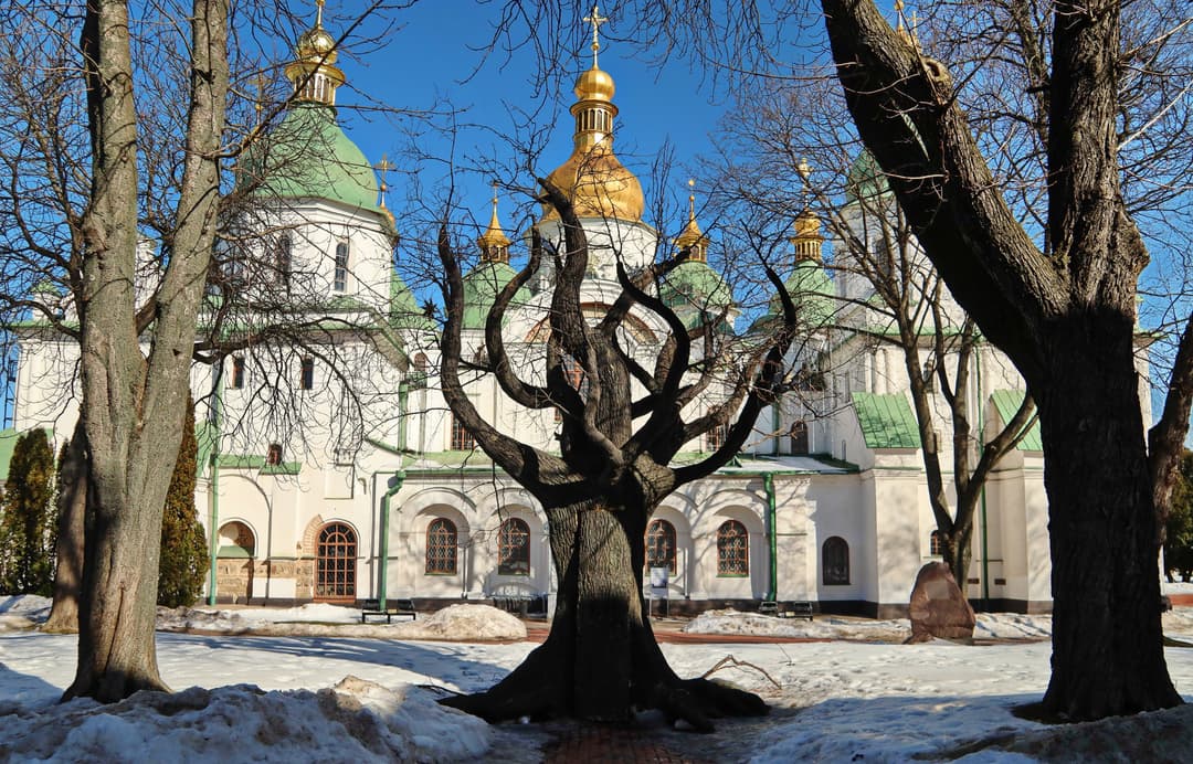 Winter view of Saint Sophia Cathedral framed by trees in the courtyard