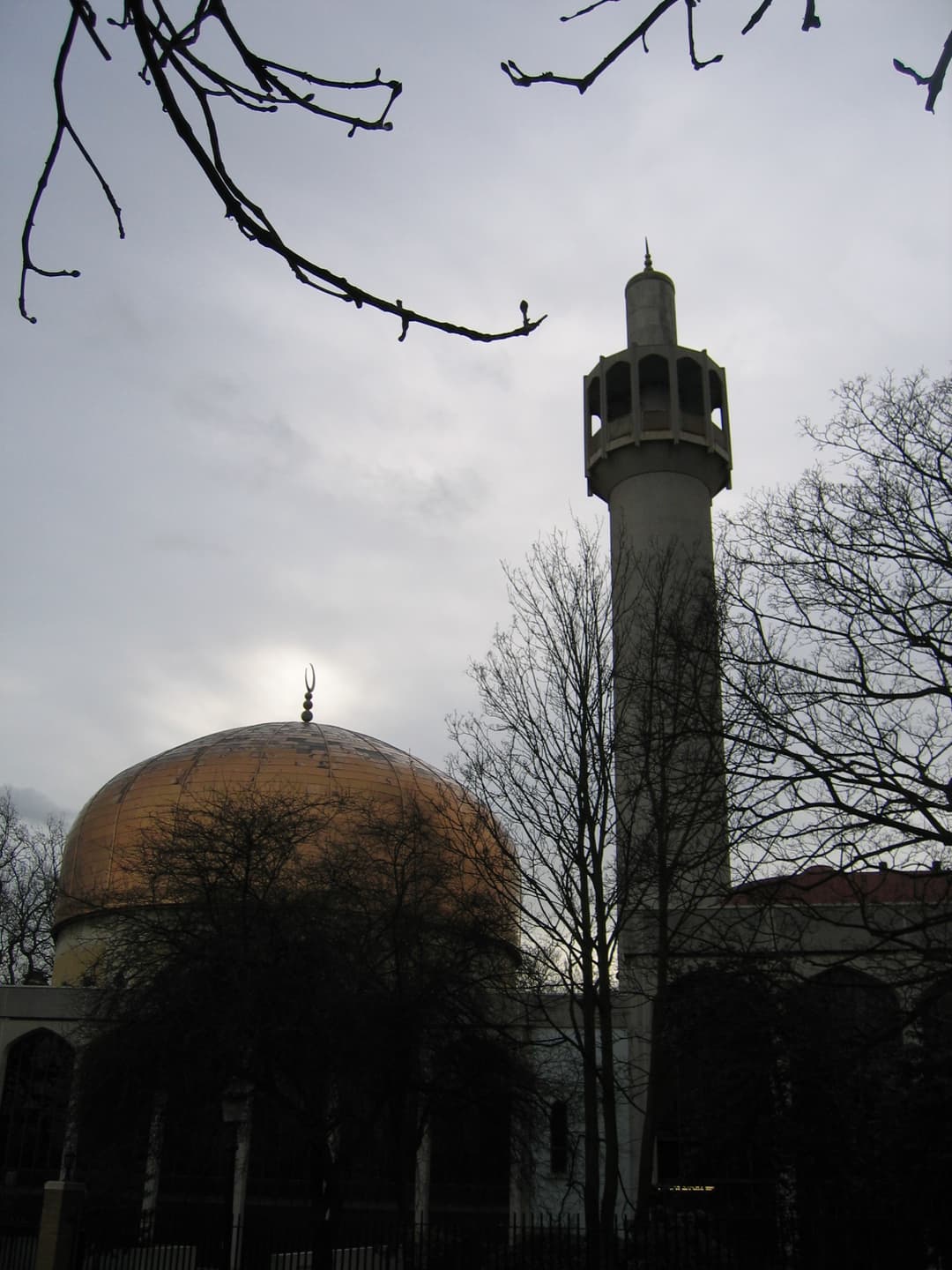 Gilded dome and minaret framed by bare tree branches under overcast skies.
